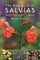 The New Book of Salvias