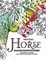 Amazing Horse Coloring Books for Adults