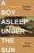 A Boy Asleep Under the Sun