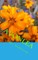 Avonlea