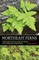 Northeast Ferns