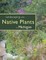 Landscaping with Native Plants of Michigan