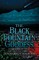 The Black Fountain Goddess