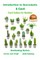 Introduction to Succulents & Cacti - Cacti Culture for Newbies