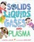 Solids, Liquids, Gases, and Plasma
