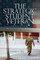 The Strategic Student Veteran