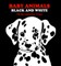 Baby Animals
