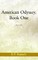 American Odyssey