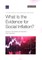 What Is the Evidence for Social Inflation?