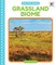 Grassland Biome