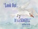 Look Out... It's a Seagull