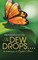 The Dew Drops . . . .