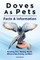 Doves As Pets