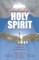 Understanding the Holy Spirit