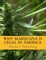 Why Marijuana is Legal in America