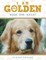 I Am Golden