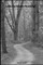 Lets Go Ghost Hunting!