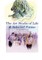 The Art Studio Of Life & Selected Poems