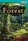 Step into the Forest