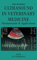 Ultrasound in Veterinary Medicine Fundamentals and Applications Ultrasound in Veterinary Medicine Fundamentals and Applications