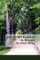 The Secret Pathway to Healing