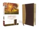 Amplified Bible-Am-Compact