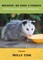 Houston, We Have a Possum