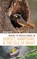 Betton, K: Where to Watch Birds in Dorset, Hampshire and the
