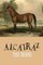Alcatraz