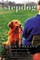 Stepdog