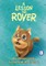 A Lesson for Rover