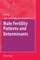 Male Fertility Patterns and Determinants