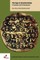 The Saga of the JÃ³msvikings