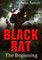 Black Rat