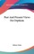 Past and Present Views on Orphism