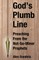 God's Plumb Line