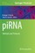 Pirna