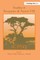 Studies in Perception and Action VIII