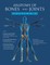 Anatomy of Bones and Joints