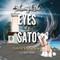 Through the Eyes of a Sato