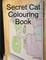 Secret Cat Colouring Book
