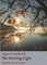 The Healing Light