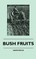 Bush Fruits
