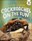 Cockroaches on the Run
