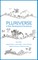 Pluriverse