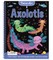 Velvet Art: Axolotls