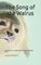 The Song of the Walrus