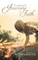 Loren's Journey of Faith