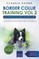 Border Collie Training Vol. 2