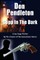 Copp in the Dark, a Joe Copp Thriller